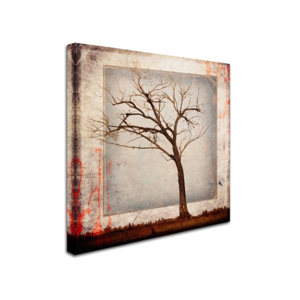 LightBoxJournal 'Cottonwood Tree Part 05' Canvas Art,14x14